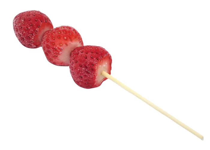 いちご様　確認用　5点 バイクバッテリー 5個セット CT4B-5 GT4B-5 YT4B-BS互換 充電