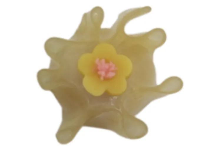 [14]　求肥・迎春[限定販売 1月～1月]