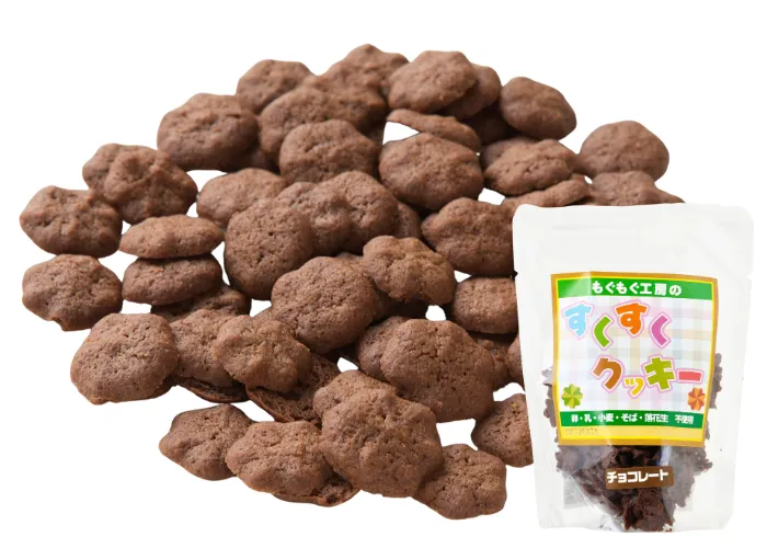 [200]　【アレルギー対応食品】もぐもぐ工房のすくすくクッキーチョコレート(390024)
