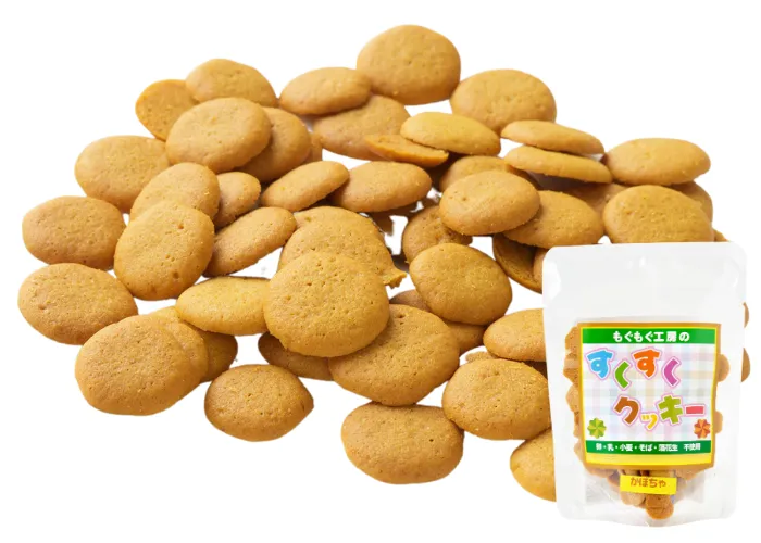 [200]　【アレルギー対応食品】もぐもぐ工房のすくすくクッキーかぼちゃ(390023)