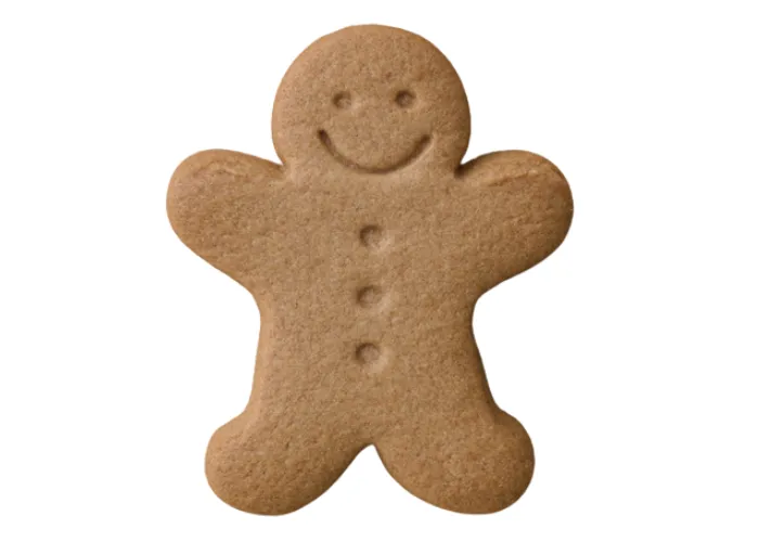 [70]　PC-171ジンジャーマンクッキー