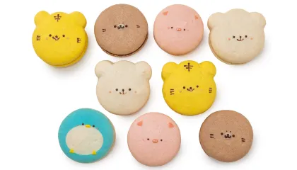 アニマルマカロン の製造イメージ