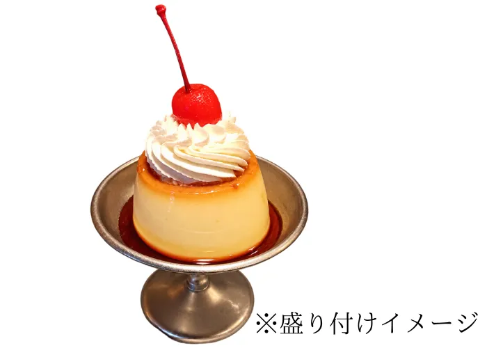[247]　レトロプリン