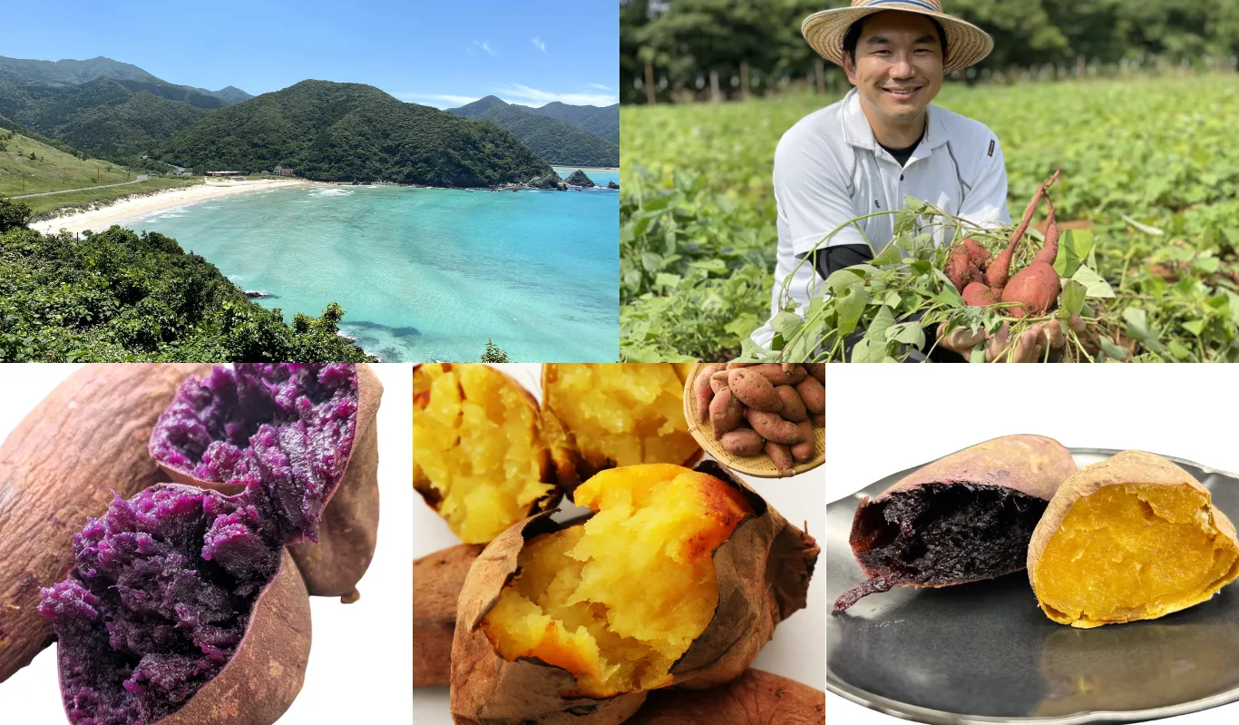 芋ペースト・芋パウダー