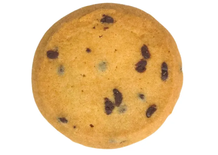 [209]　ナチュラルクッキー　チョコチップ